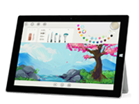 莲池Surface 无法开启、Windows 无法启动或电池无法充电